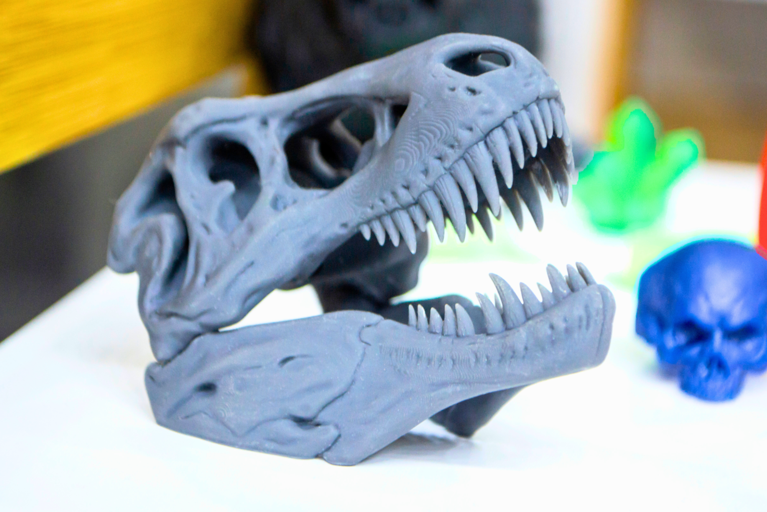 3D Printed Dinosaur Skull Replica